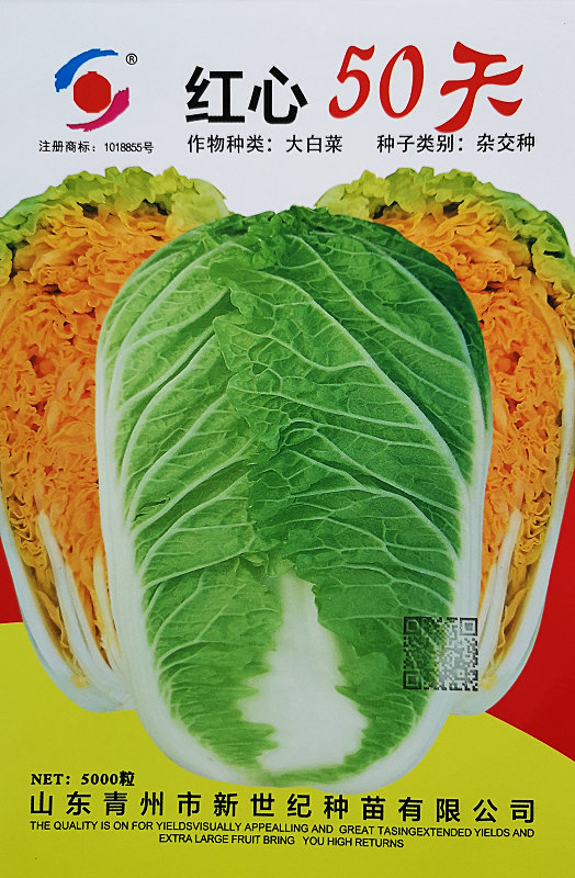 Red Heart 50 Days——Orange Heart Chinese Cabbage Red Heart 50 Days——Orange Heart Chinese Cabbage